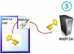 gallery/root chain